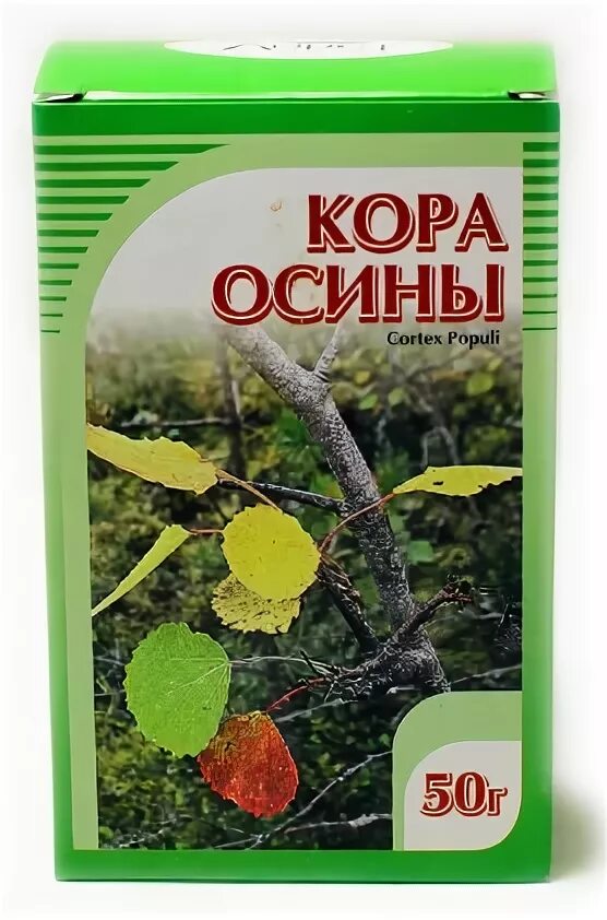 Сколько пить кору осины. Сколько пить кору осины