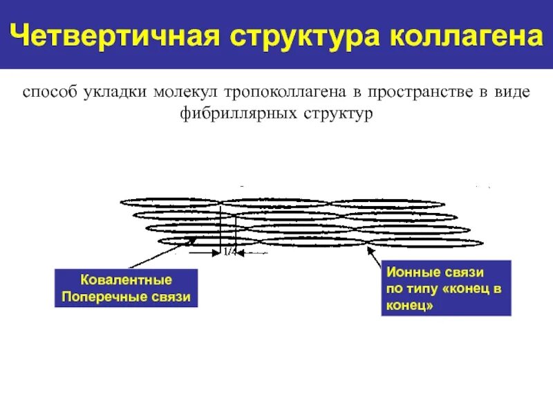 Какой состав в коллагене