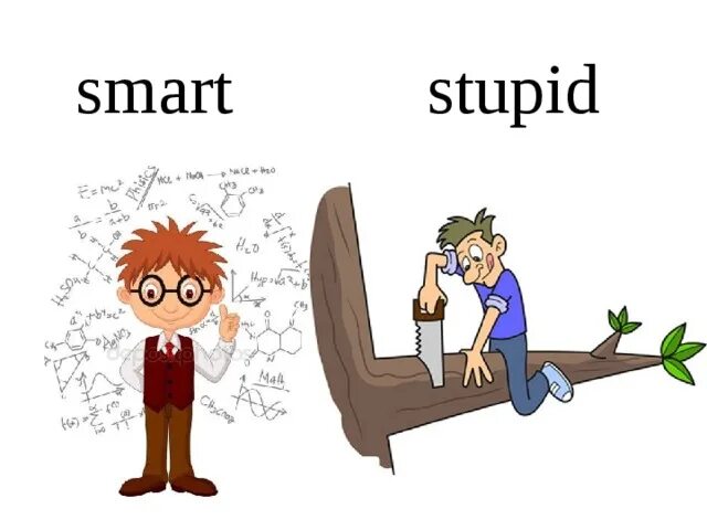 Smart stupid. Clever stupid. Clever Flashcard. Clever умный рисунок.