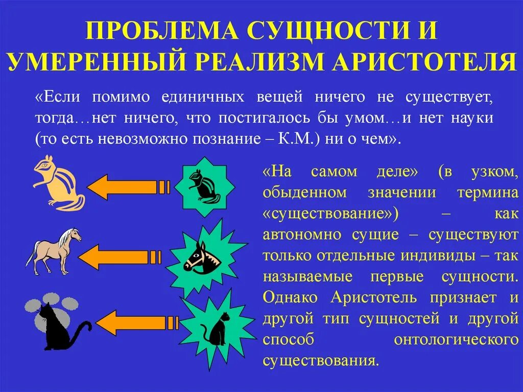 Умеренный реализм в философии это. Реализм Аристотеля. Проблемы Аристотеля. Умеренный реалист. Проблема сущности общества