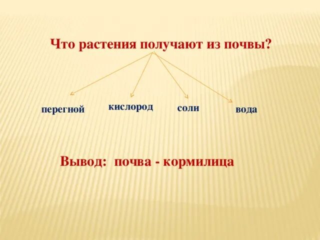 Что получают из почвы. Что растения получают из почвы. растения получают из почвы кислород. растение получают из почвы перегной. вода, кислород, соли, перегной.