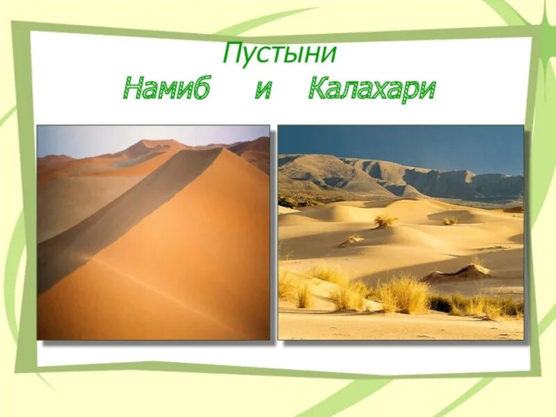 Разнообразие природы африки 7 класс презентация