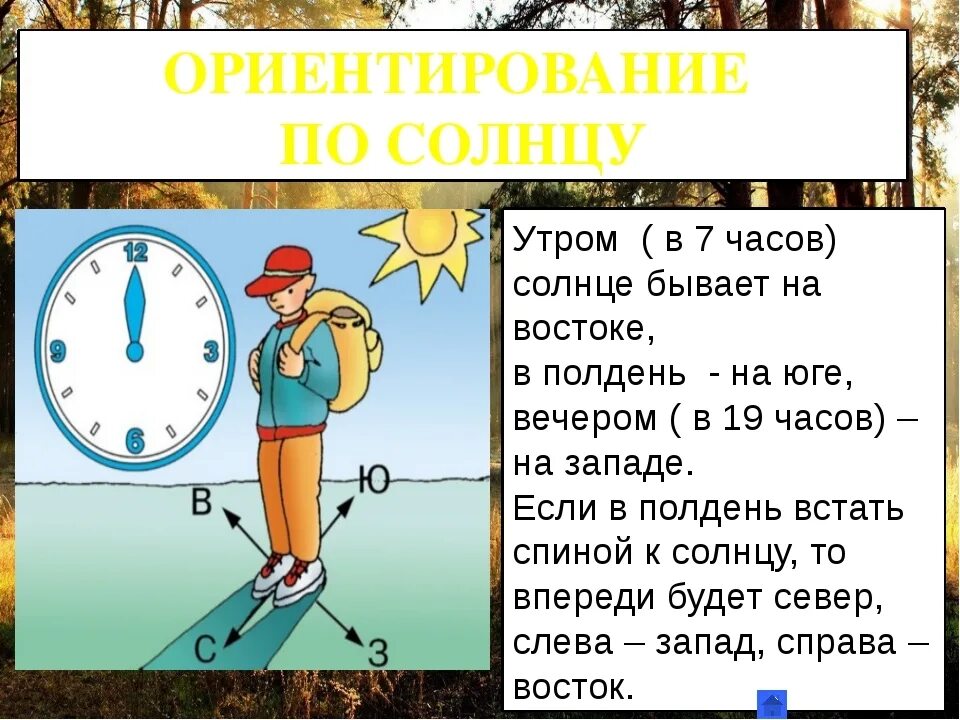 Как определить без часов. Как ориентироваться по солнцу. Способы ориентирования на местности по солнцу. Каковы основные принципы ориентирования на местности по солнцу. Ориентирование на местности по солнцу 6 класс.