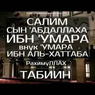 Салим имя