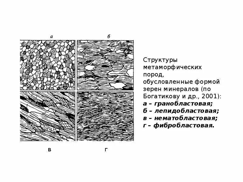 Метаморфические породы структуры текстуры