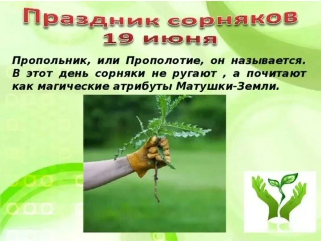 международный день прогулки. какие сегодня праздники отмечаются. 19 июня день наблюдения за облаками. открытки с днём прогулки. 19 июня день чего.