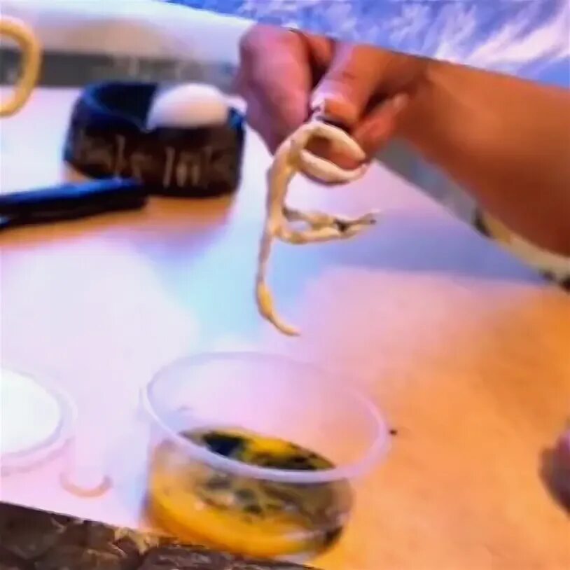 Как сделать гомункула в домашних условиях. Как создать гомункула. Как создать гомункула. Как создать гомункула. Как вырастить гамонгола.