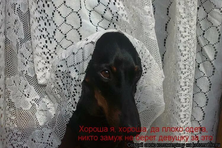 Замуж никто не берёт. Книга не замужем анна шадрина. Замуж никто не берёт. Никто замуж не берёт рисунок. Никто замуж не берет.