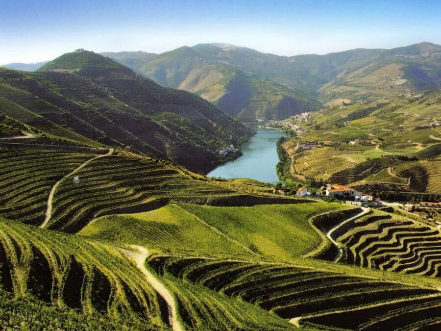 Алту дору португалия. Город эперне в шампани. Чили, центральная долина, кольчагуа. Долина доуро португалия. Шампань-арденны франция.