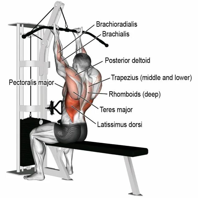 Вертикальная тяга на спину. Вертикальная тяга верхнего блока широким хватом. Мышцы спины тяга вертикального блока. Тяга вертикального блока широким хватом за голову. Тяга верхнего блока какие мышцы задействованы.