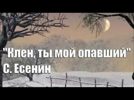Есенин клен мой опавший песни слушать