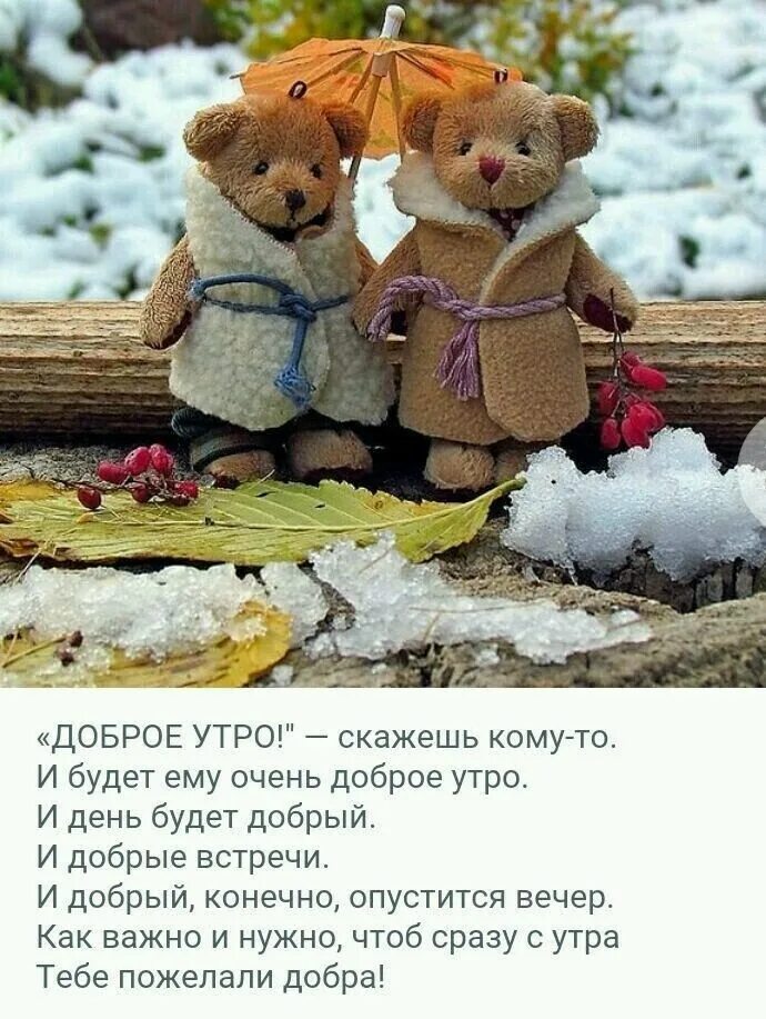 Зимнее доброе утро настроения со смыслом. Позитивные высказывания зимние. позитивные высказывания. хорошего дня цитаты. зимнее настроение цитаты.