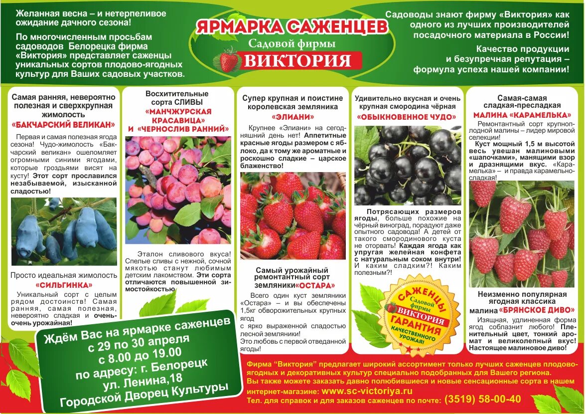 семена сады россии челябинск. нпо сады россии интернет магазин. каталог фирмы саженцы. каталог растений. каталог посадочного материала.