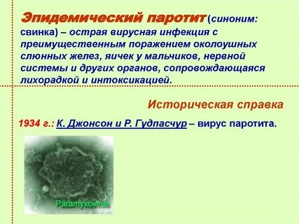 Возбудитель паротита