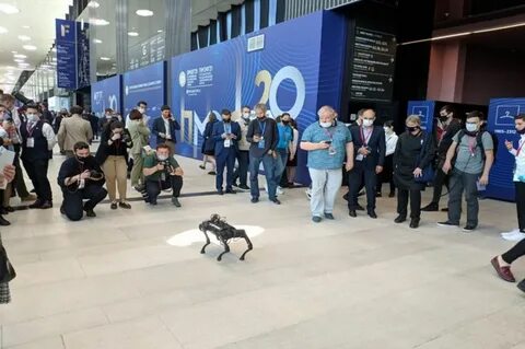 Форумы ожидалось