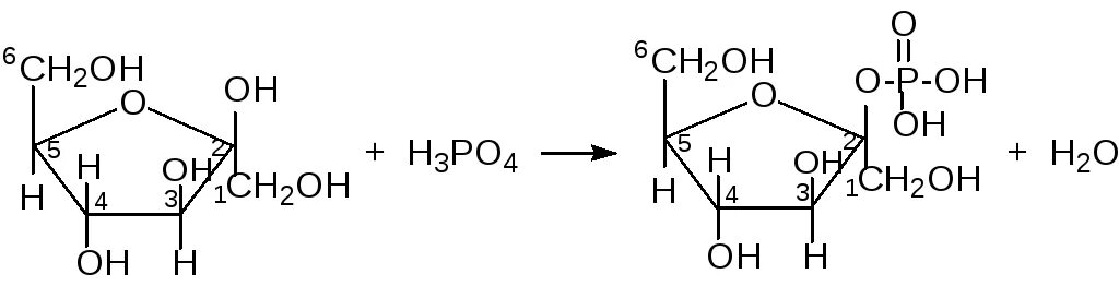 Фруктофураноза этерификация. B D фруктофураноза этерификация. Бетта, д- фруктофураноза 6-монофосфат.