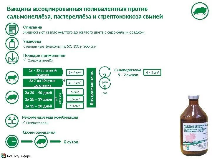 Вакцина от пастереллеза. Вакцина против пастереллеза,стрептококкоза сальмонеллеза свиней. Вакцина против сальмонеллеза поросят. Поливалентная формолтиомерсаловая вакцина. «Вакцина против сальмонеллеза поросят» Армавир.