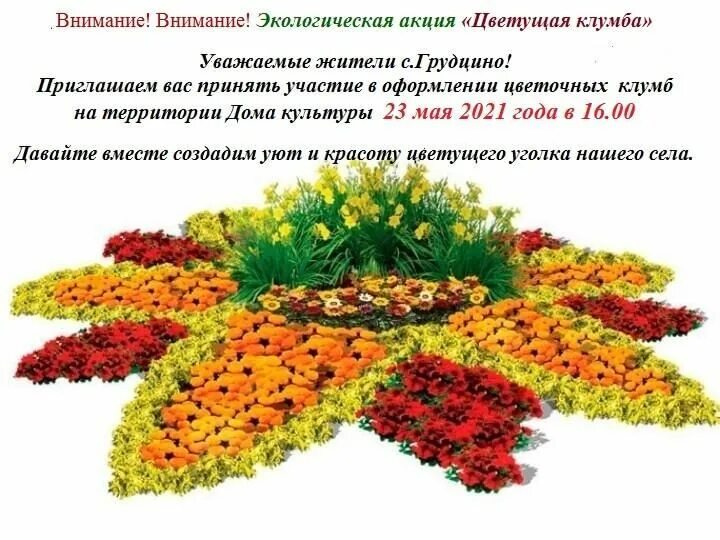 Цветочные клумбы: сочетание растений. Обсуждение на LiveInternet - Российский Се