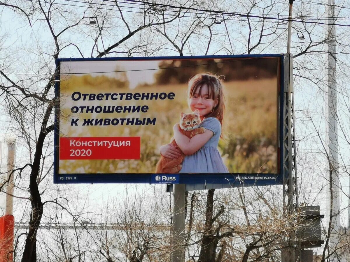 Политическая социальная реклама. Реклама конституции. Поправки реклама. Поправки реклама. Политическая реклама баннер.