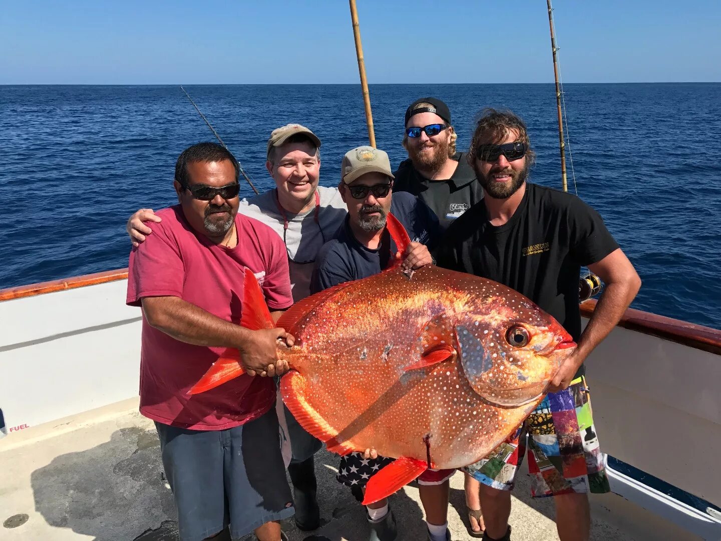 Fish report