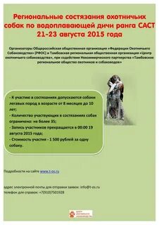 Команда ограничивающая собачью жизнь