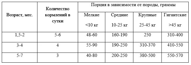 Сколько творога давать щенку. Норма корма для щенка шпица 4 месяца. Сколько грамм корма нужно давать щенку шпица в 3 месяца?. Сколько сухого корма давать Шпицу в день. Сколько грамм сухого корма давать щенку шпица в 2 месяца.