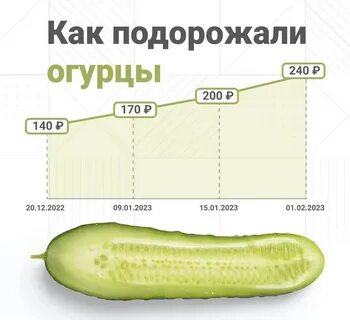 Сколько стоят 4 огурца