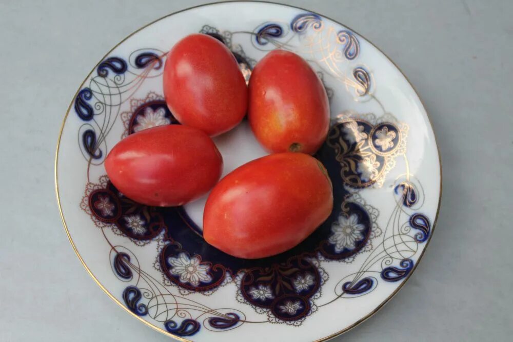 Гавриш томат гранатовая капля. Сорт томата гранатовая капля. Томат терек f1. Томат карлито f1 голд. Томат черри гранатовая капля.