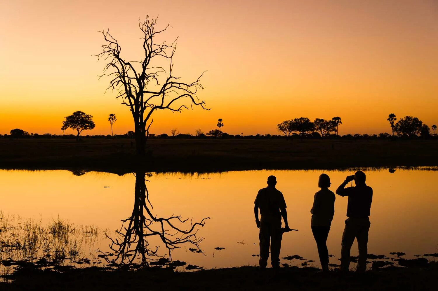 Good africa. Сафари на реке Чобе. Сафари на закате фото.