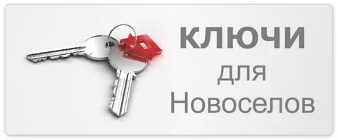 Новосел