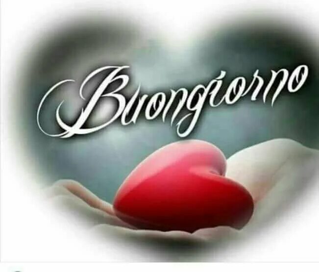 Amada amore mio. Buongiorno. buongiorno amore mio картинки на итальянском. buongiorno amore mio гифки. buona giornata открытки на итальянском.