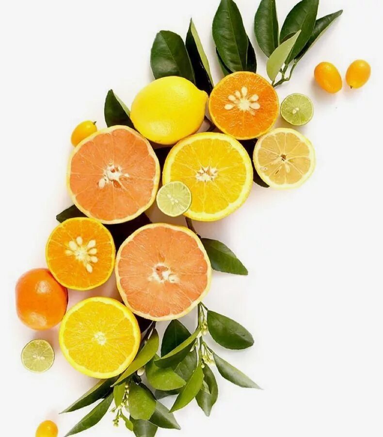 Цитрус мевалар. Цитрус апельсин грейпфрут. Грейпфрут апельсин лимон лайм. Грейпфрут, мандарин, лайм.