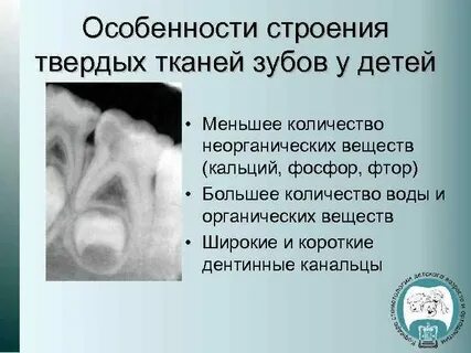 Твердые ткани зуба