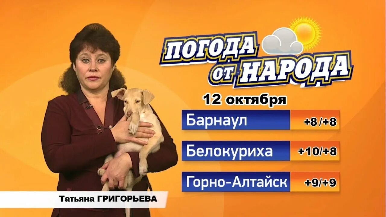 Прогноз погоды в бийске на 7. Прогноз погоды в бийске на 7. Погода в бийске на сегодня. Погода в алейске сейчас. Прогноз погоды в бийске на 7.