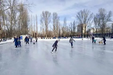 Фани парк каток