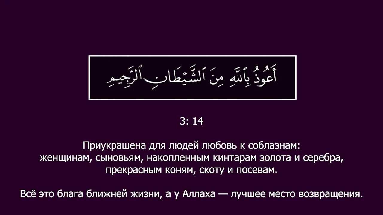 Сура Аль Имран аят 8. Сура Аль Имран 15-18 аяты. Сура Аль Имран 3 аят. Читать суру 3