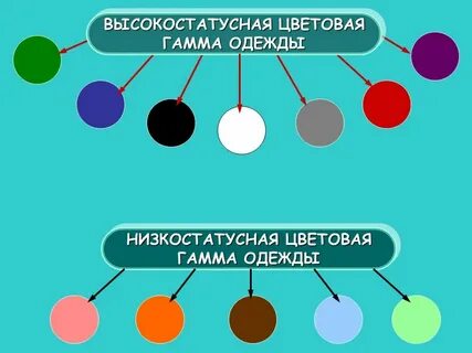 Гамма одежды
