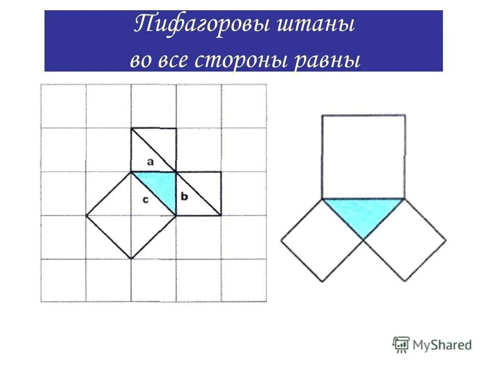 Пифагоровы штаны на все стороны равны что