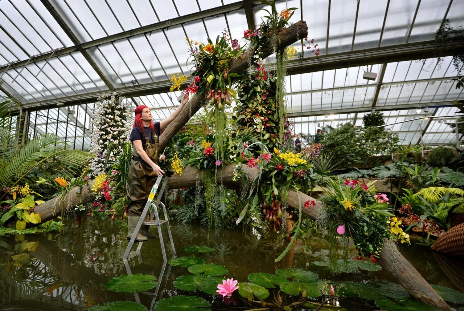 Оранжерея ботанического сада Кью Гард. Ботанический сад Кью в Лондоне. Оранжерея с орхидеями в Ботаническом саду. Оранжерея ботанического сада СПБ. Выращивание экзотических