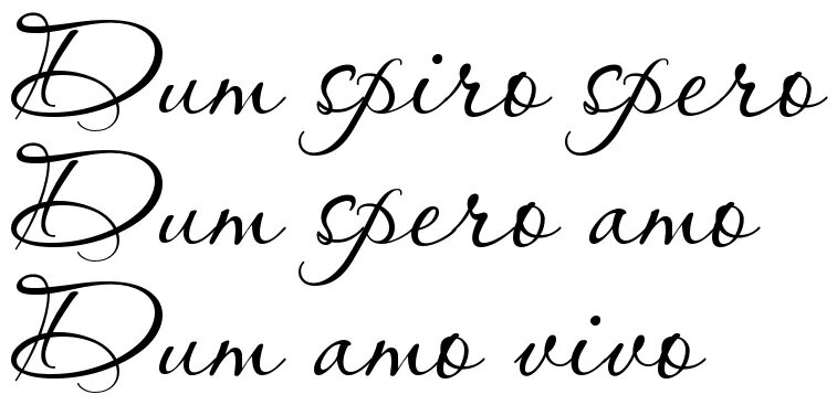 Dum латынь перевод. Meliora spero тату. dum spiro amo atque credo. dum spiro spero тату. надпись dum spiro amo atque credo.