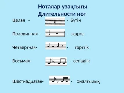 Эротикалық ақ трусики фотосы