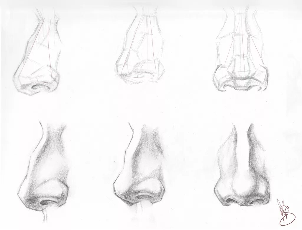 Нос снизу референс. Референсы носа анатомия. Рисование носа с разных ракурсов. Поэтапное рисование носа человека.