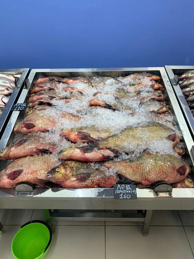 рыба карелии магазин петрозаводск первомайский проспект. корба рыба карельская. антикайнена 34 петрозаводск рыба. карельский рыбный магазин. рынок в петрозаводске рыбный.
