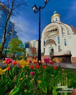 Весенний ростовская область