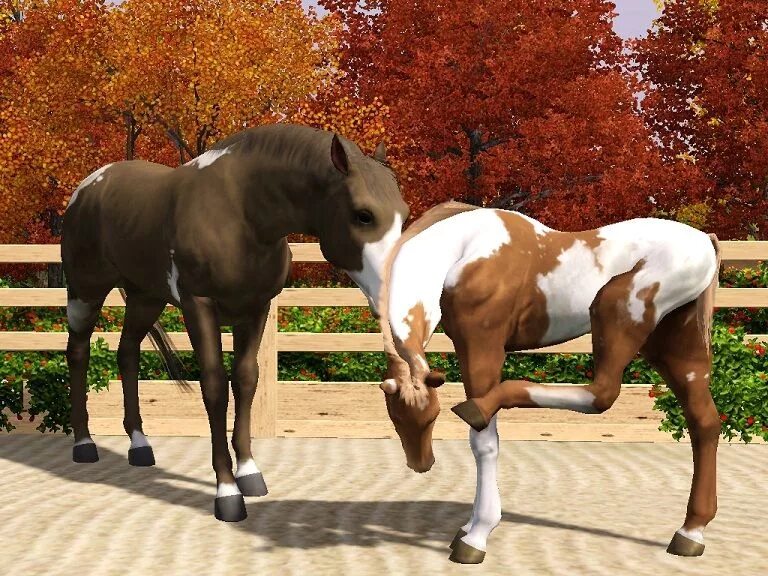 Симс 4 конюшня. SIMS 3 лошади. SIMS 4 Horse Ranch. SIMS 3 питомцы конюшня.