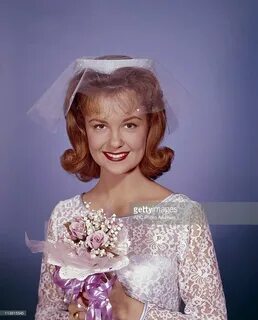 (Photo by ABC Photo Archives/ABC via Getty Images)SHELLEY FABARES The Donna...