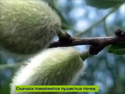 13 сначала