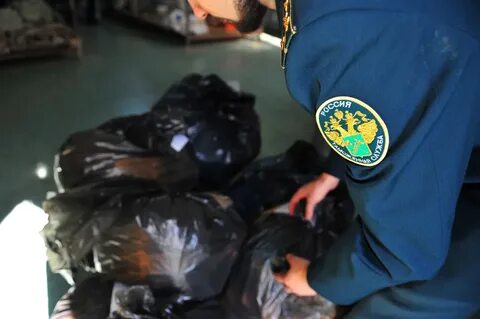 Ca customs gov
