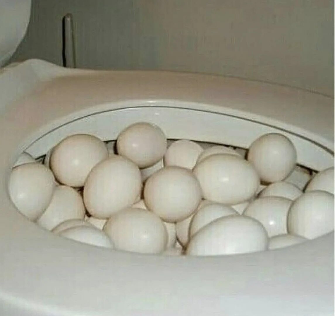 Яйцо под
