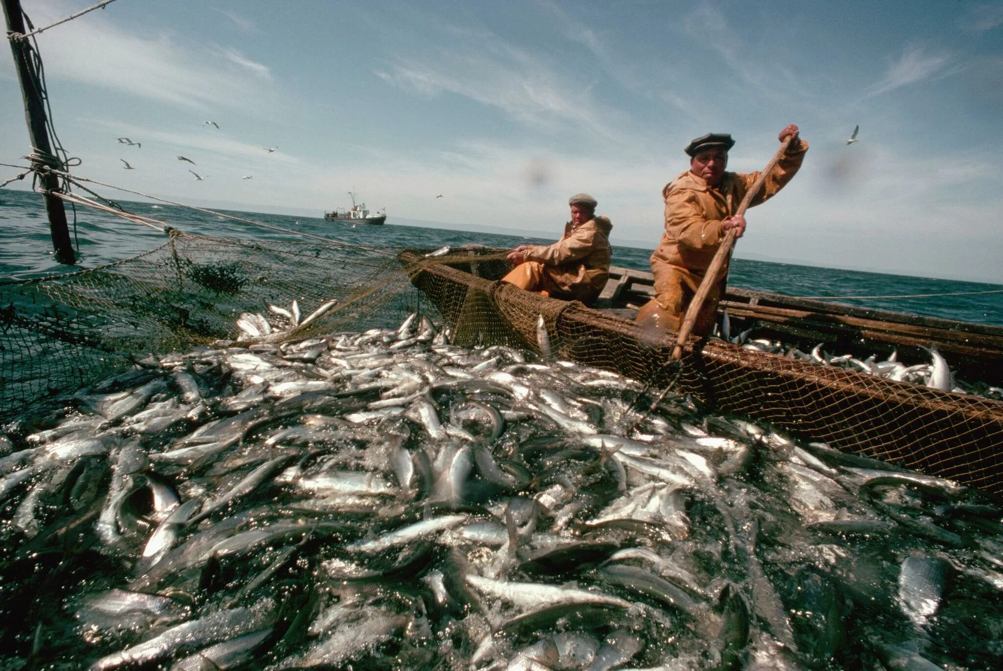 Здесь ловят рыбу. Озеро Байкал рыболовля. Озеро Байкал рыбный промысел. Рыболовный промысел оз. Байкал. Байкальский омуль рыбозавод Байкал.